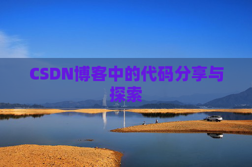 CSDN博客中的代码分享与探索